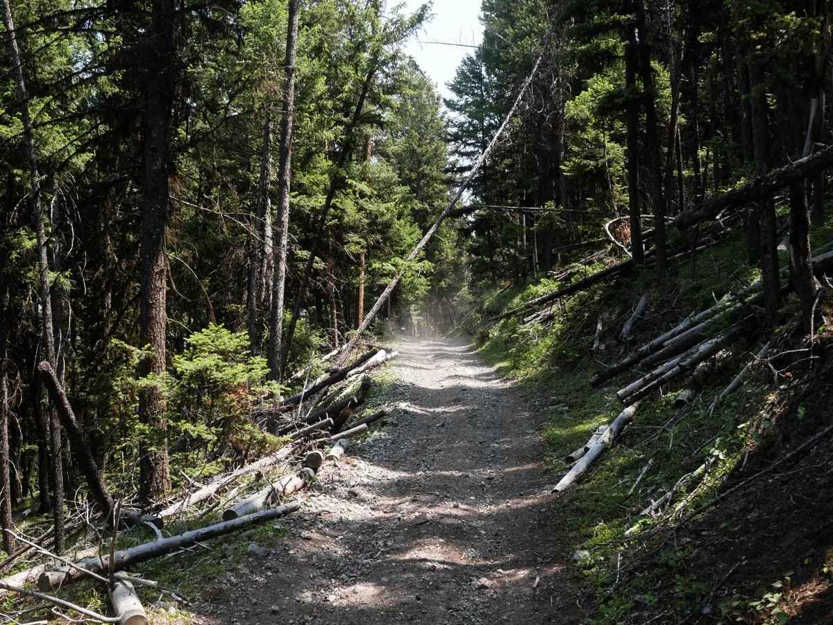 Trail #185 (Part 1) photo 4