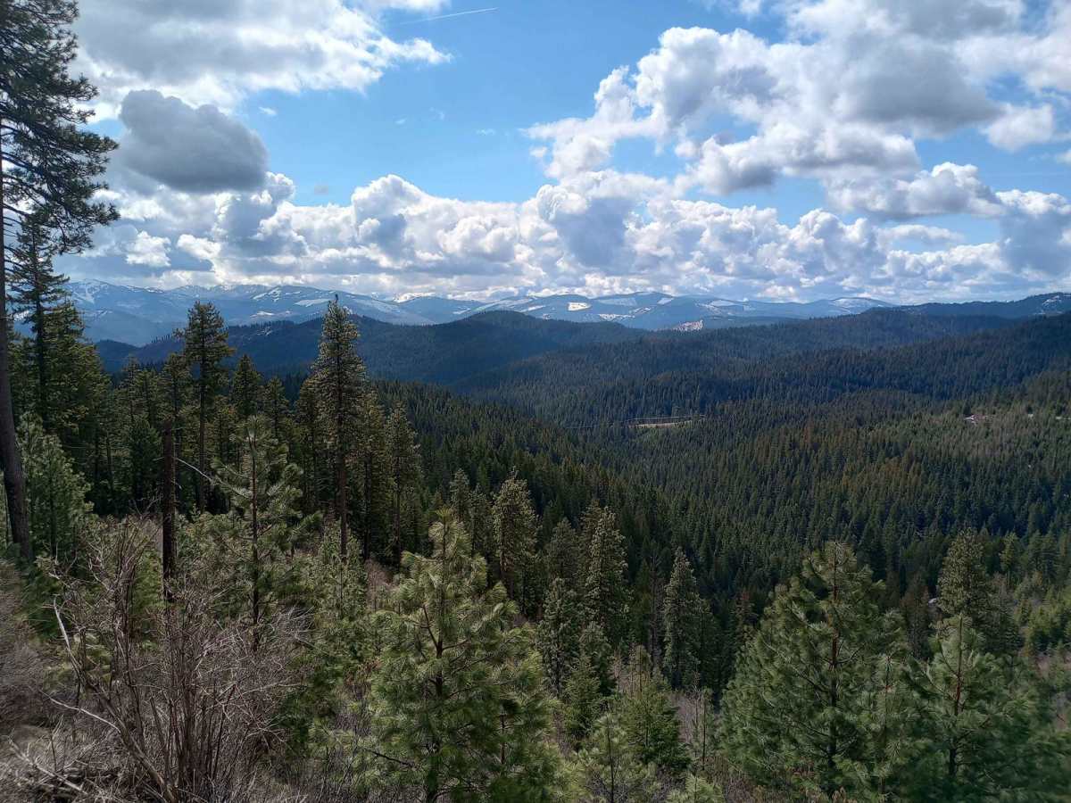 4th July - Copper Creek - 3097 trail photo