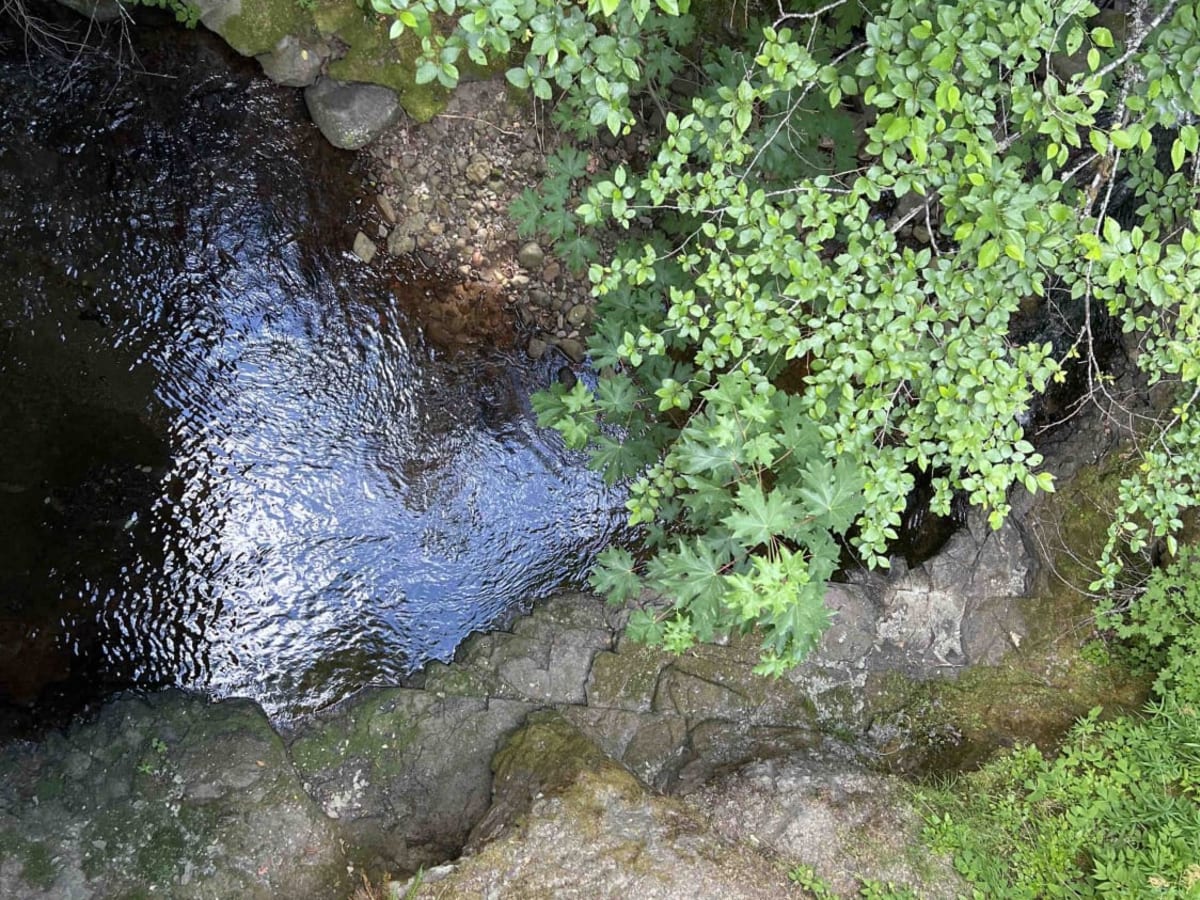 Stanley Creek 2136 photo 6
