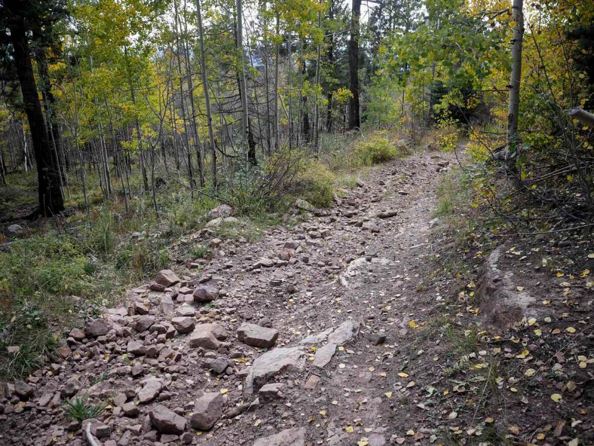 Connection 582 trail photo