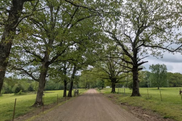 Spring Lake Road