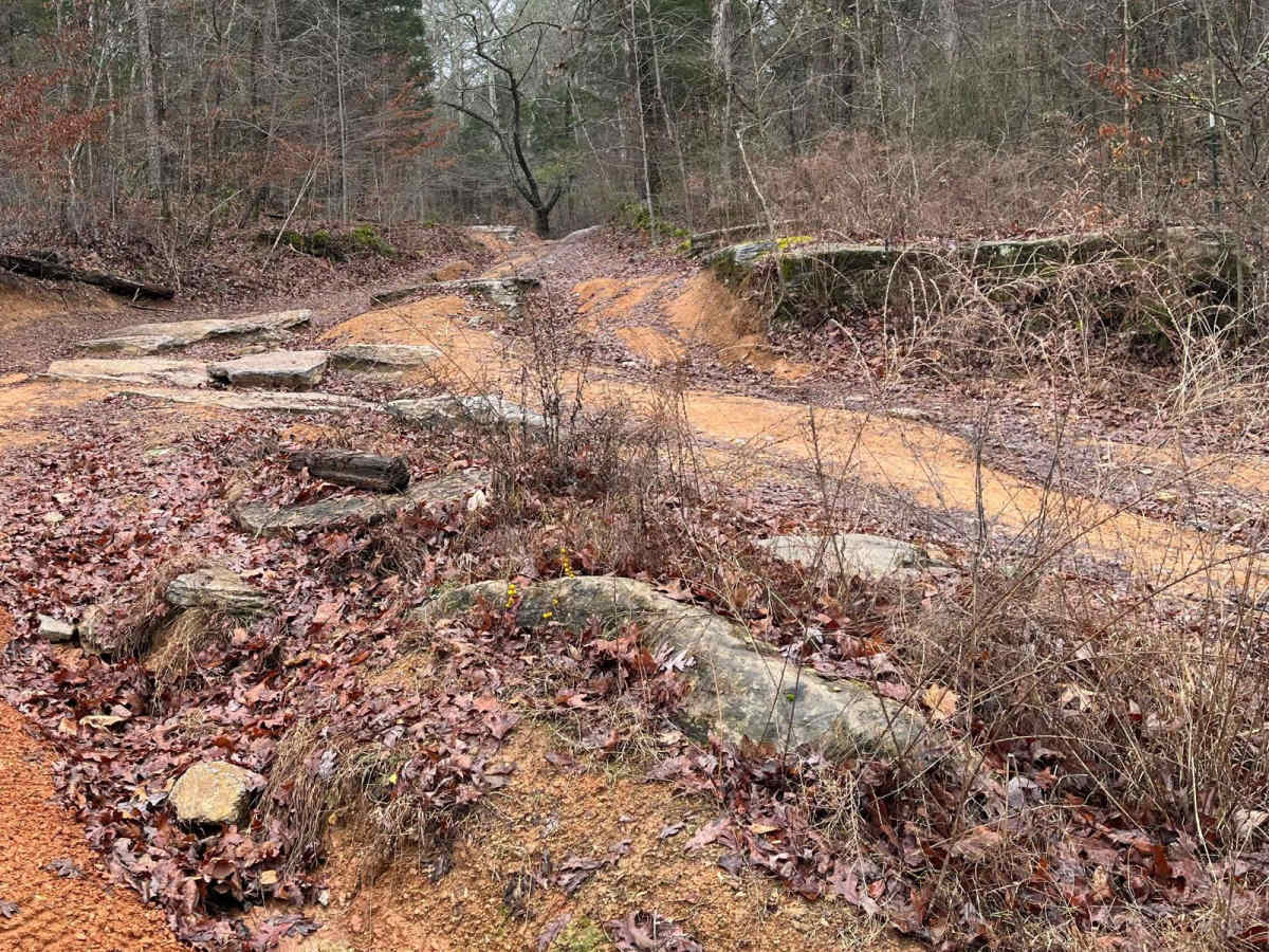 Old Mill Creek Road photo 2