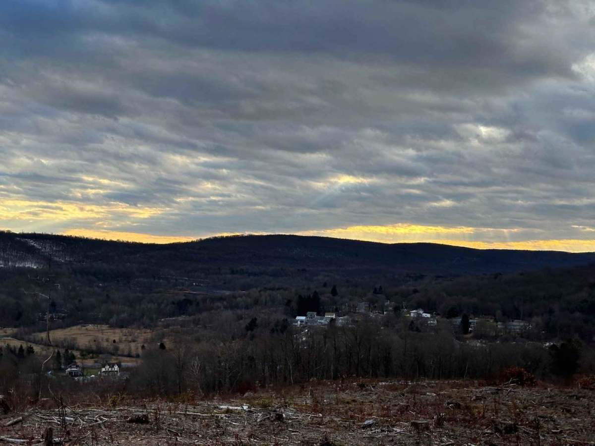 Ashland 184 photo 3