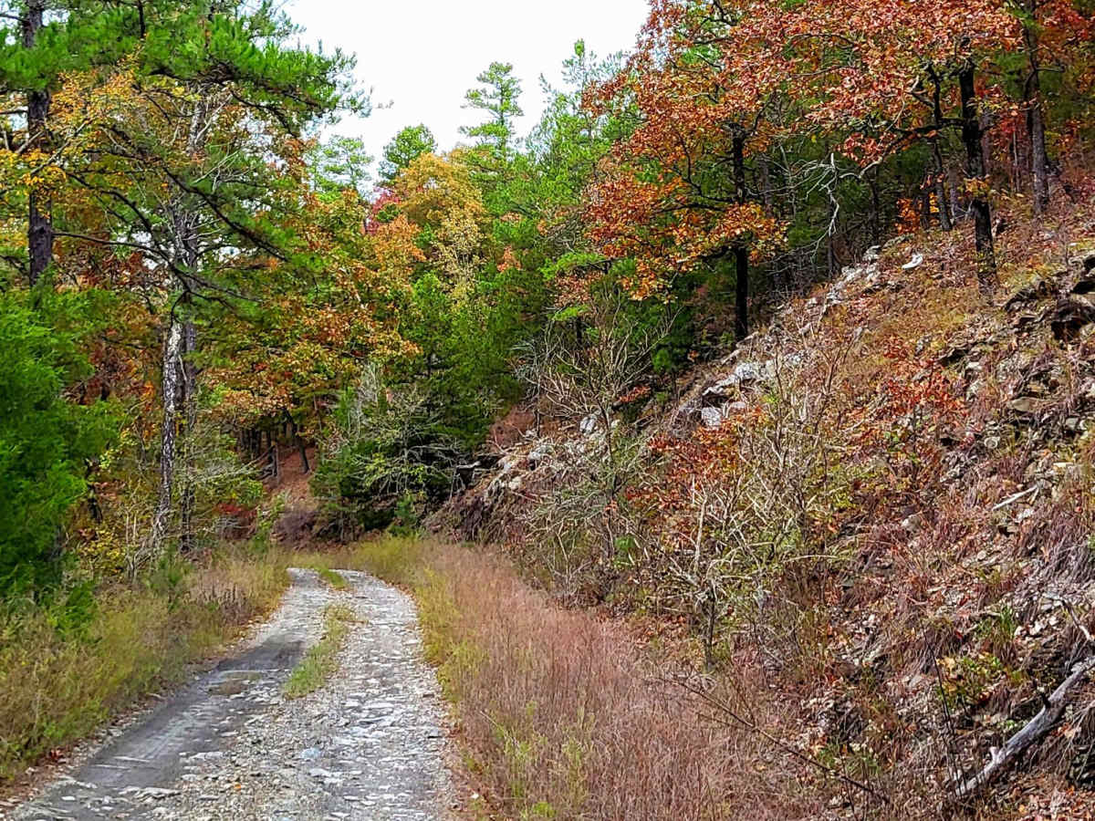 Shell Rock Road photo 3