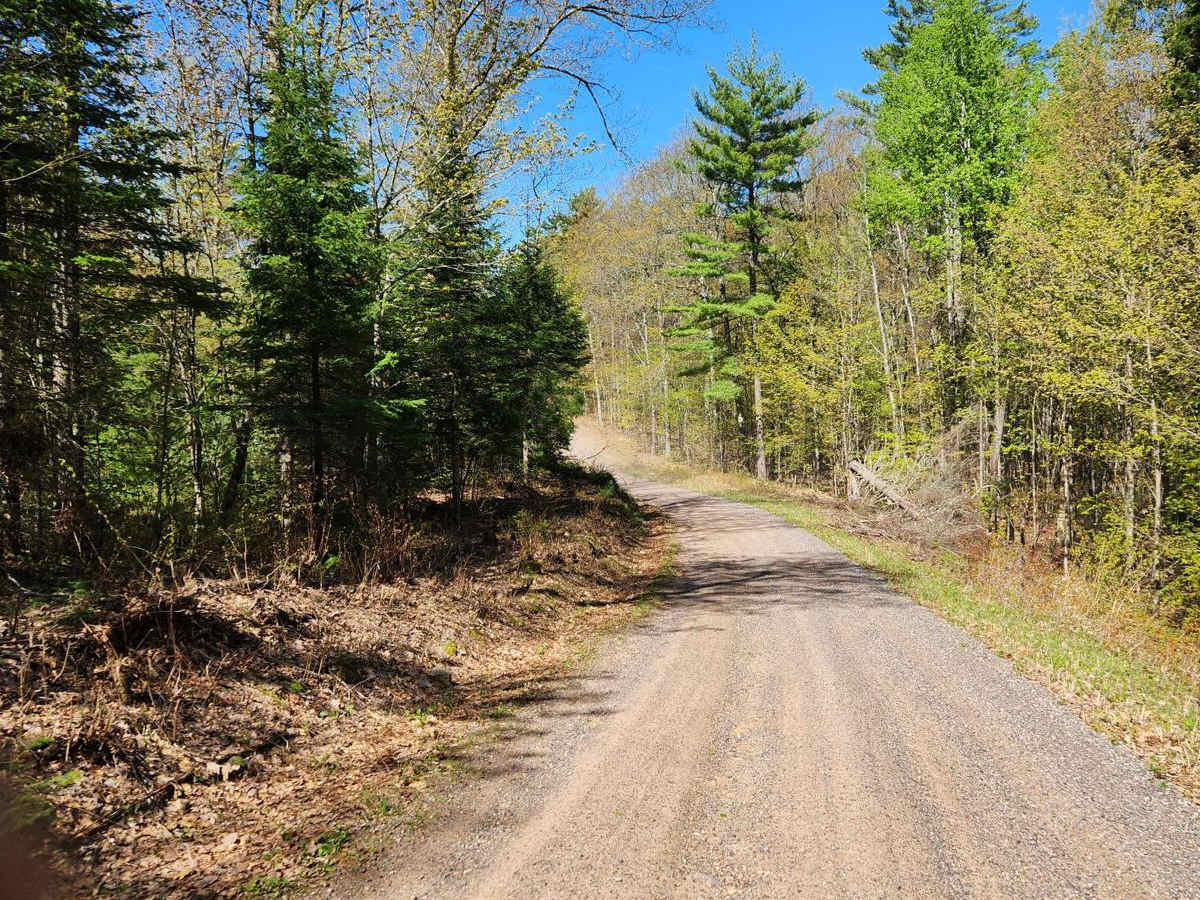 Trail 57 photo 5