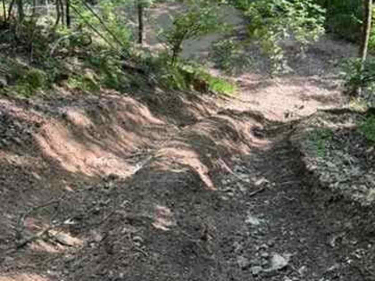 Jay's Trail photo 6
