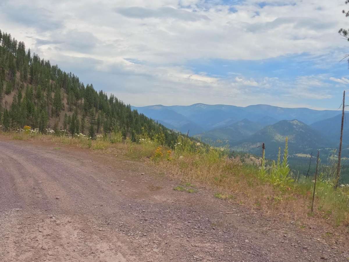 Cougar Creek Loop photo 6