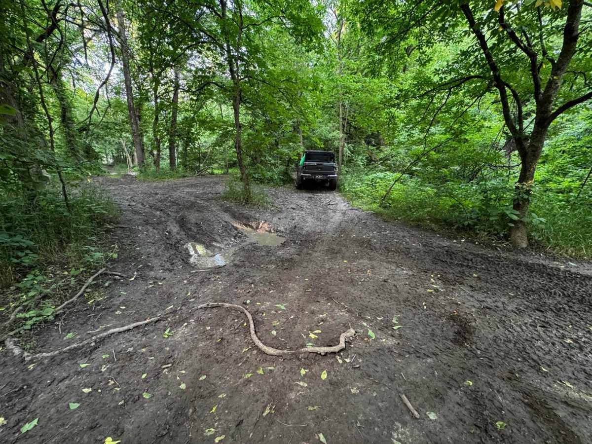 Jeep Trail 82 photo 3