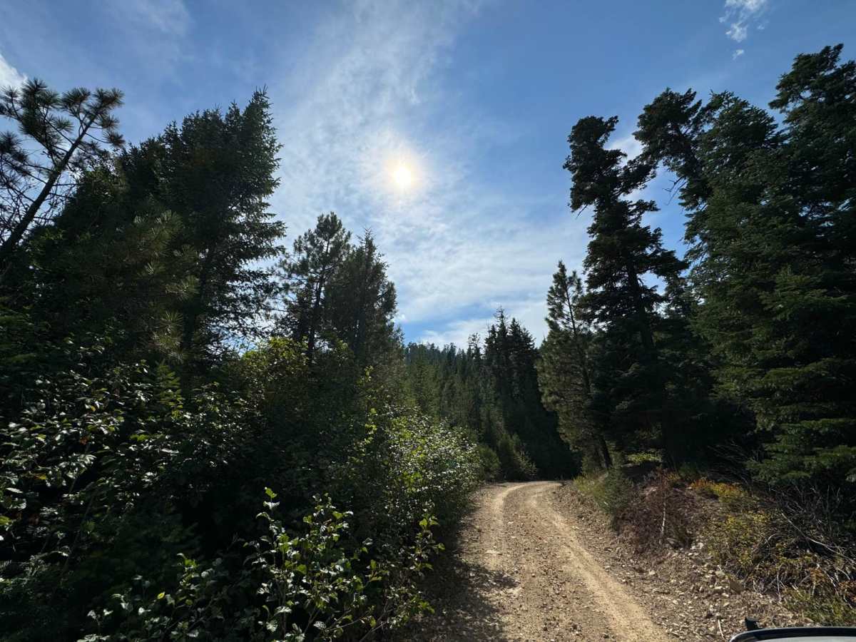 Tin Cup trail photo