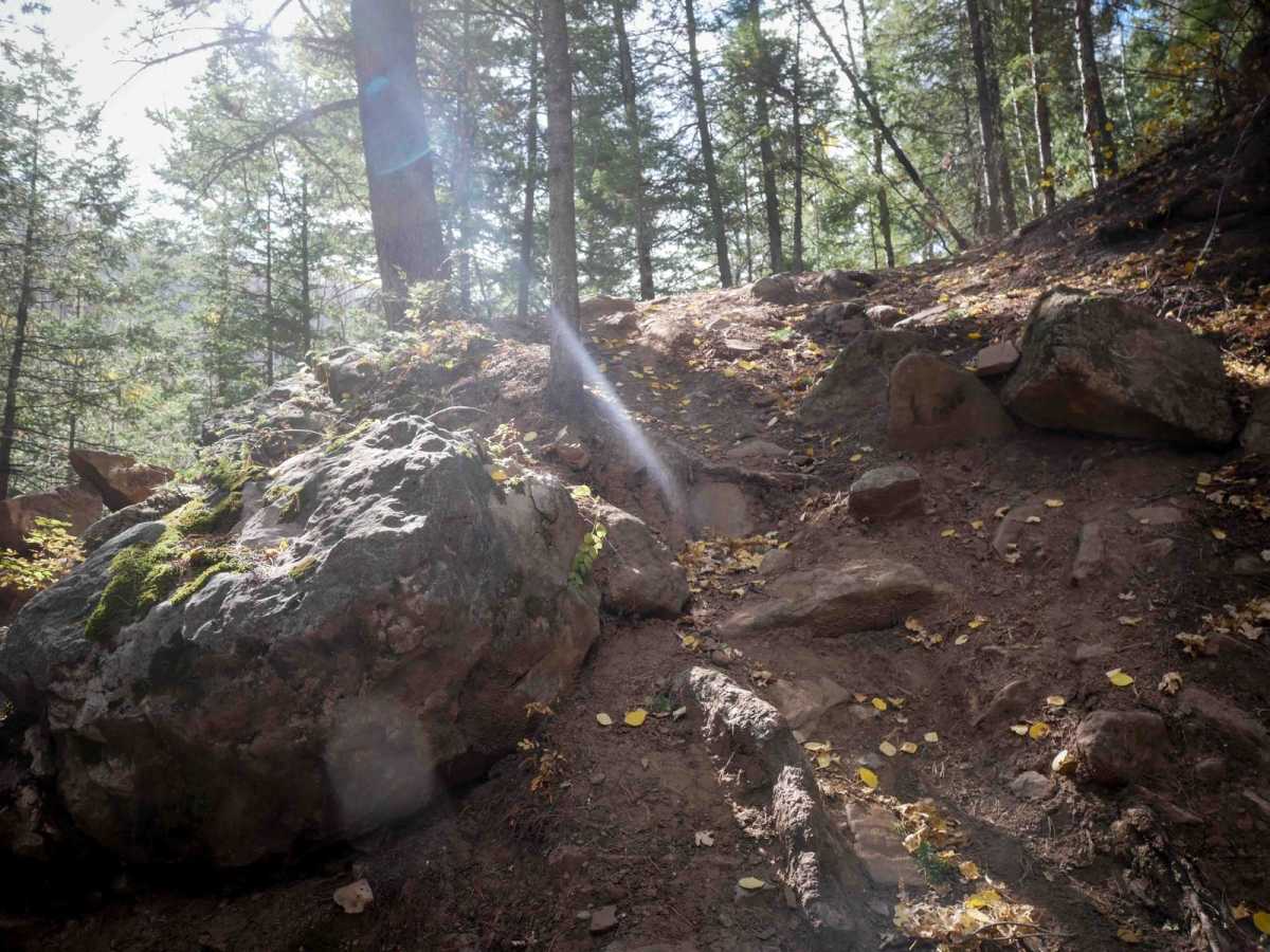 Dutch Creek photo 2