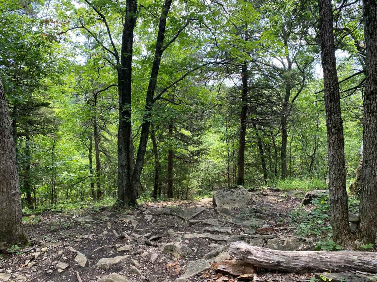 EZ Duzit trail photo