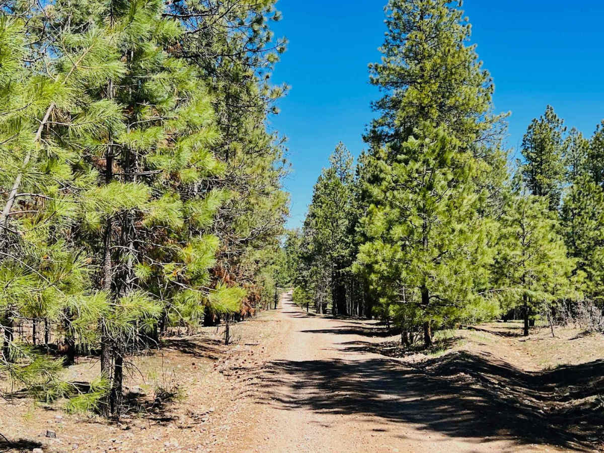 Pivot Rock Canyon photo 6
