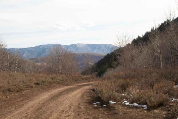 Three Mile Canyon