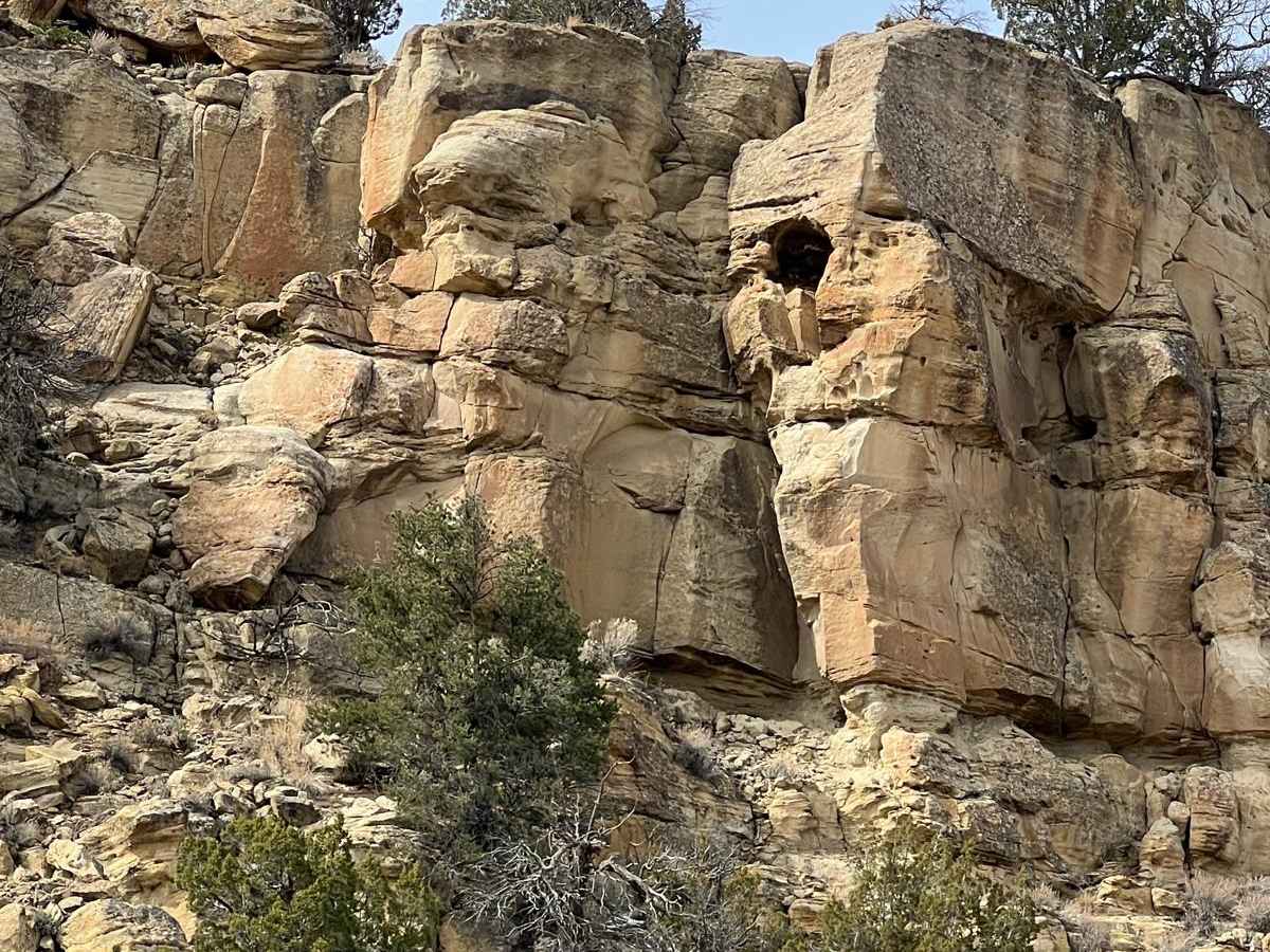 Middle Largo Canyon trail photo
