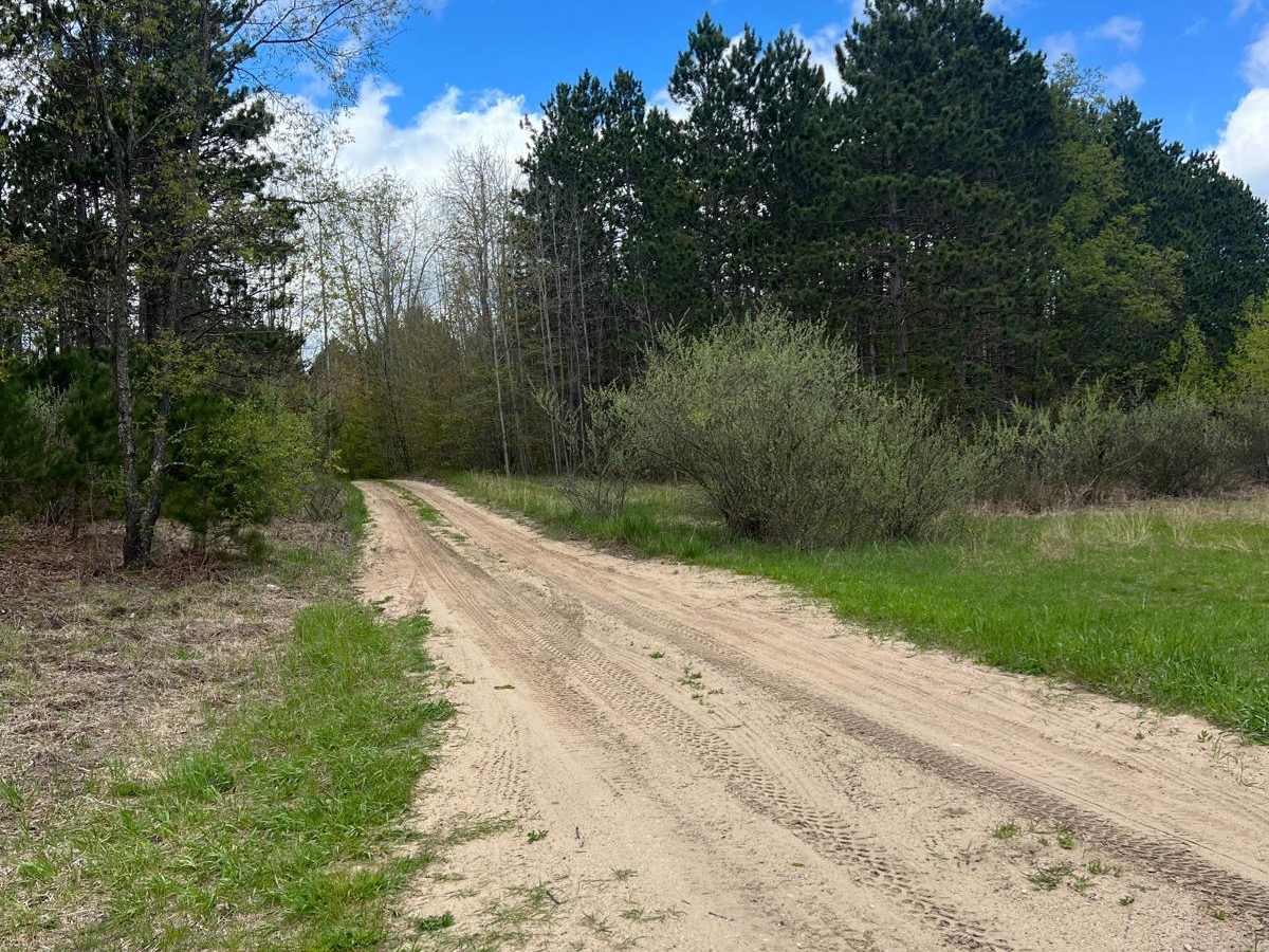 Matchett Trail photo 2