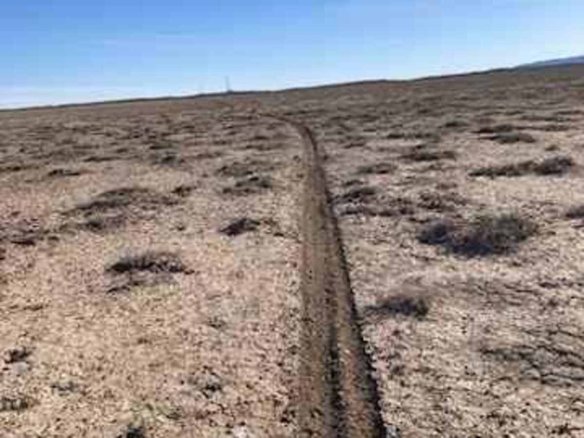 Open Desert Single Track trail photo
