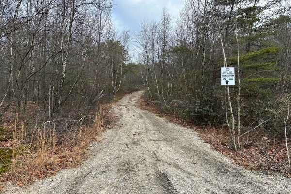 Locust Gap 64