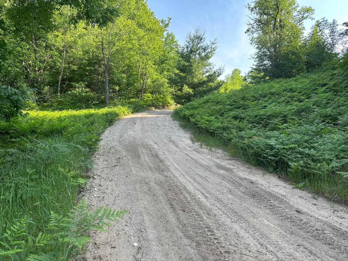 Fortine Road photo 3