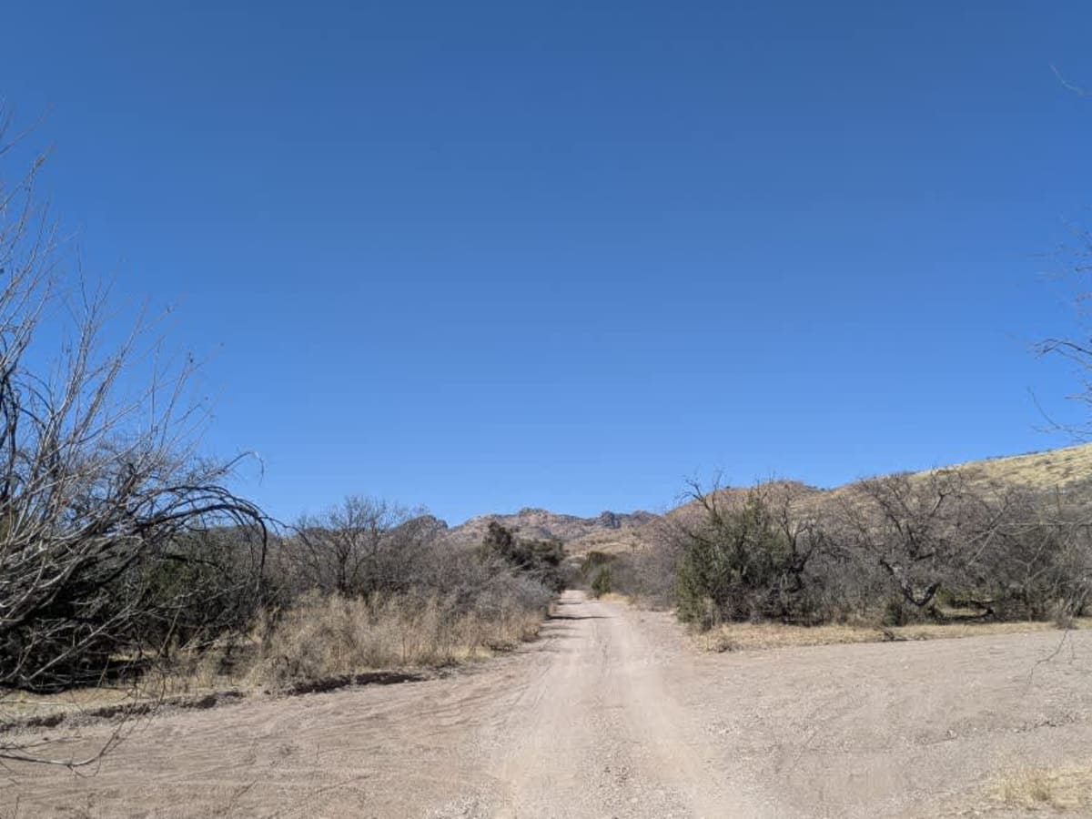 Bear Springs Canyon photo 2