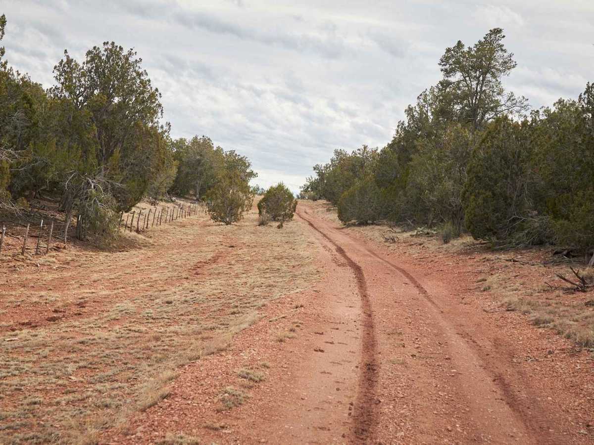 Tanks Scenic Bypass photo 6