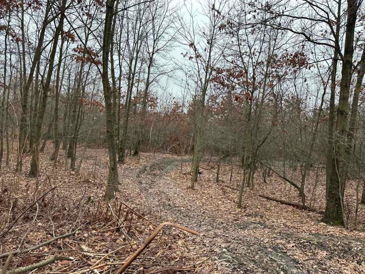Darkwater 108 West photo 2
