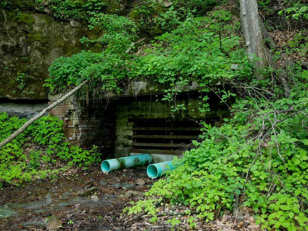 RH 33 photo 6