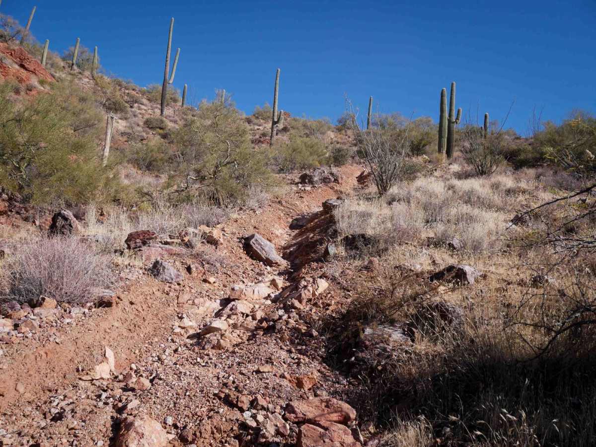 Picacho Singletrack photo 2