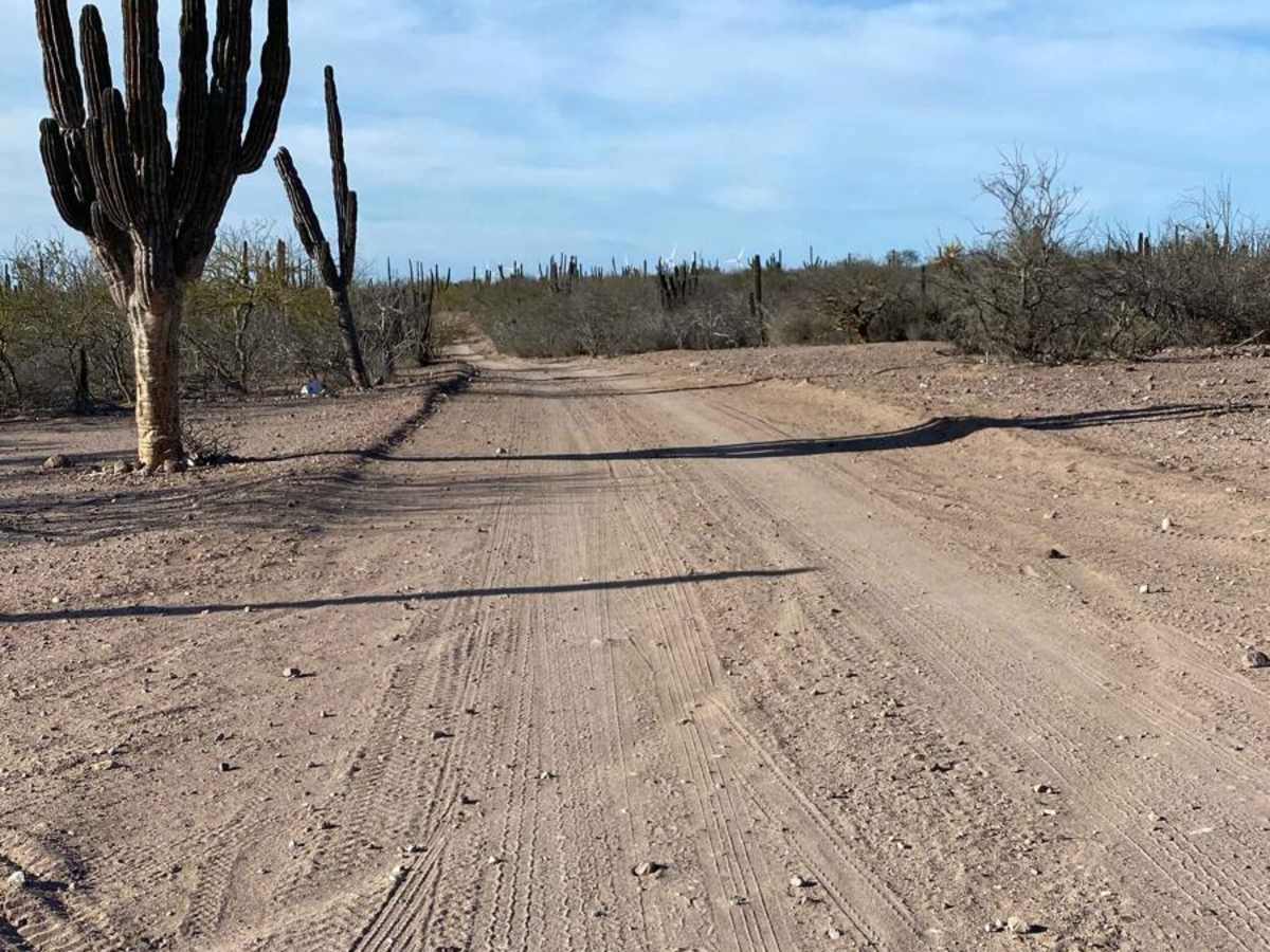Dos Ranchos Loop trail photo