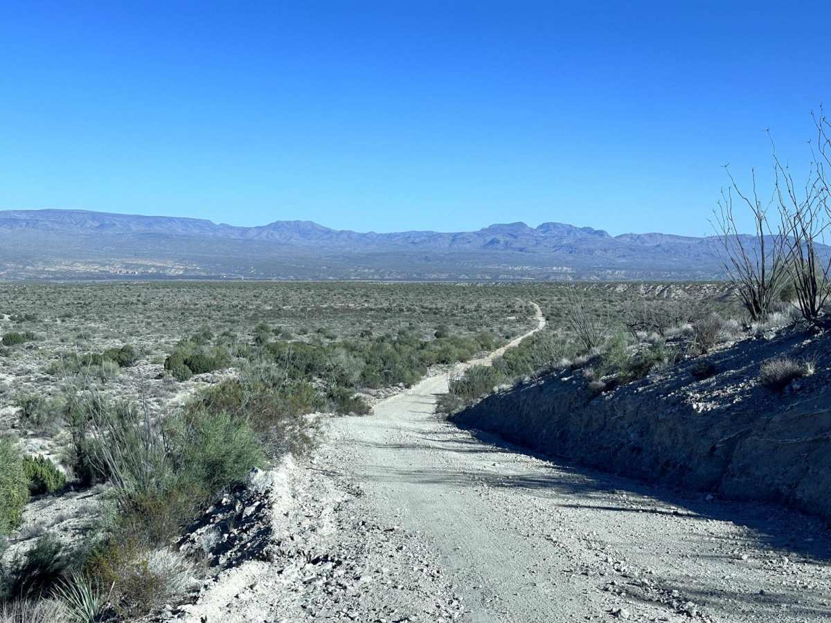 BLM 7252 photo 6