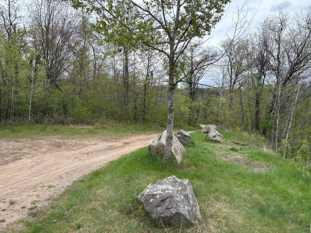 Dam Dead End trail photo