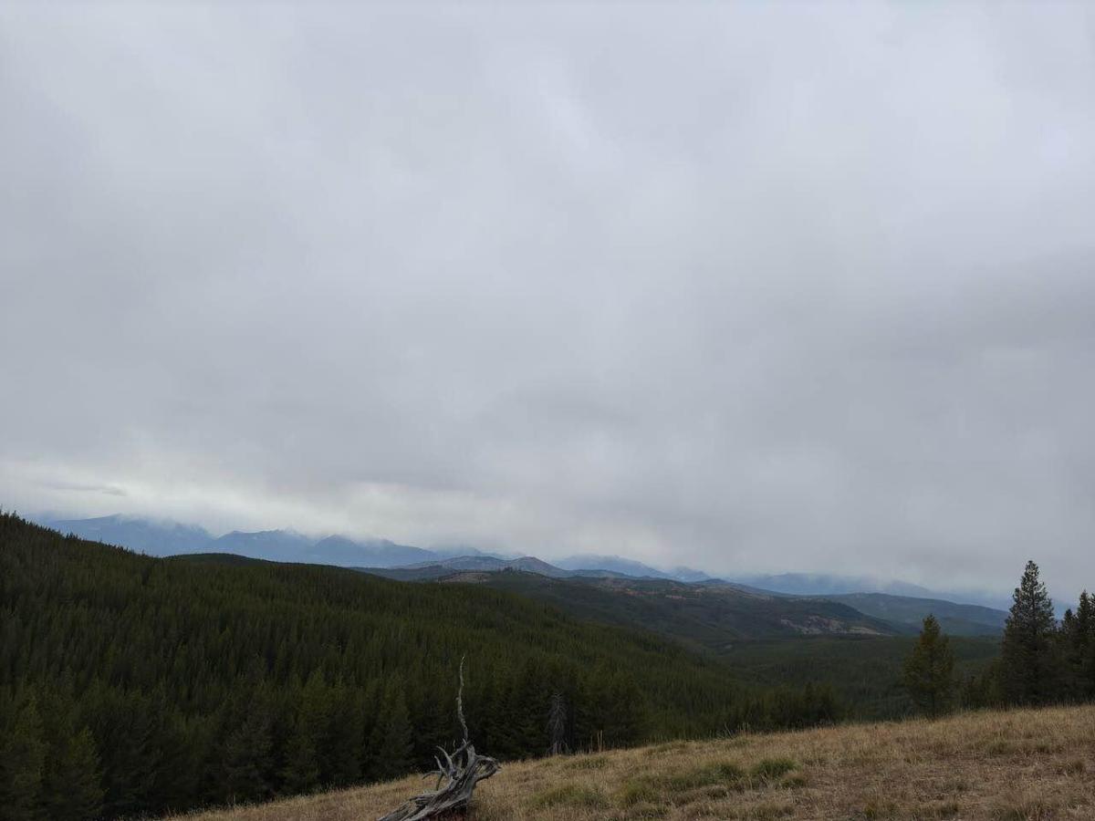 Deer Meadows photo 3