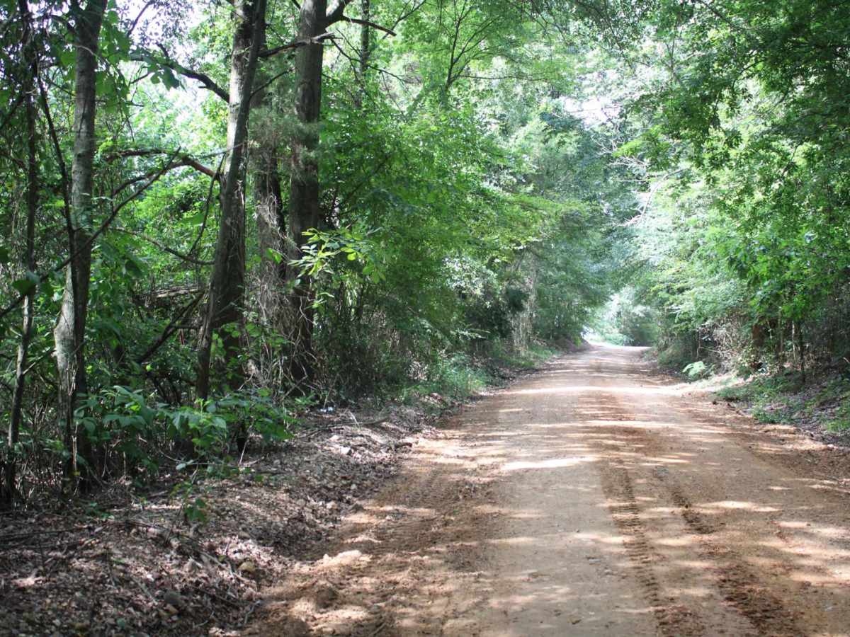 Little Bridge Creek to HWY 73 photo 4