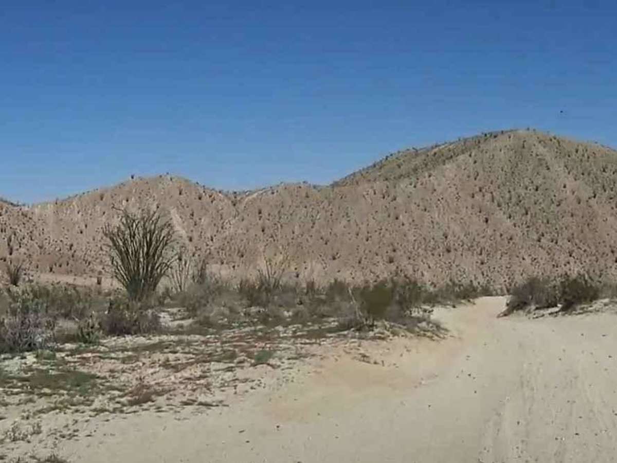 Canyon Sin Nombre photo 5