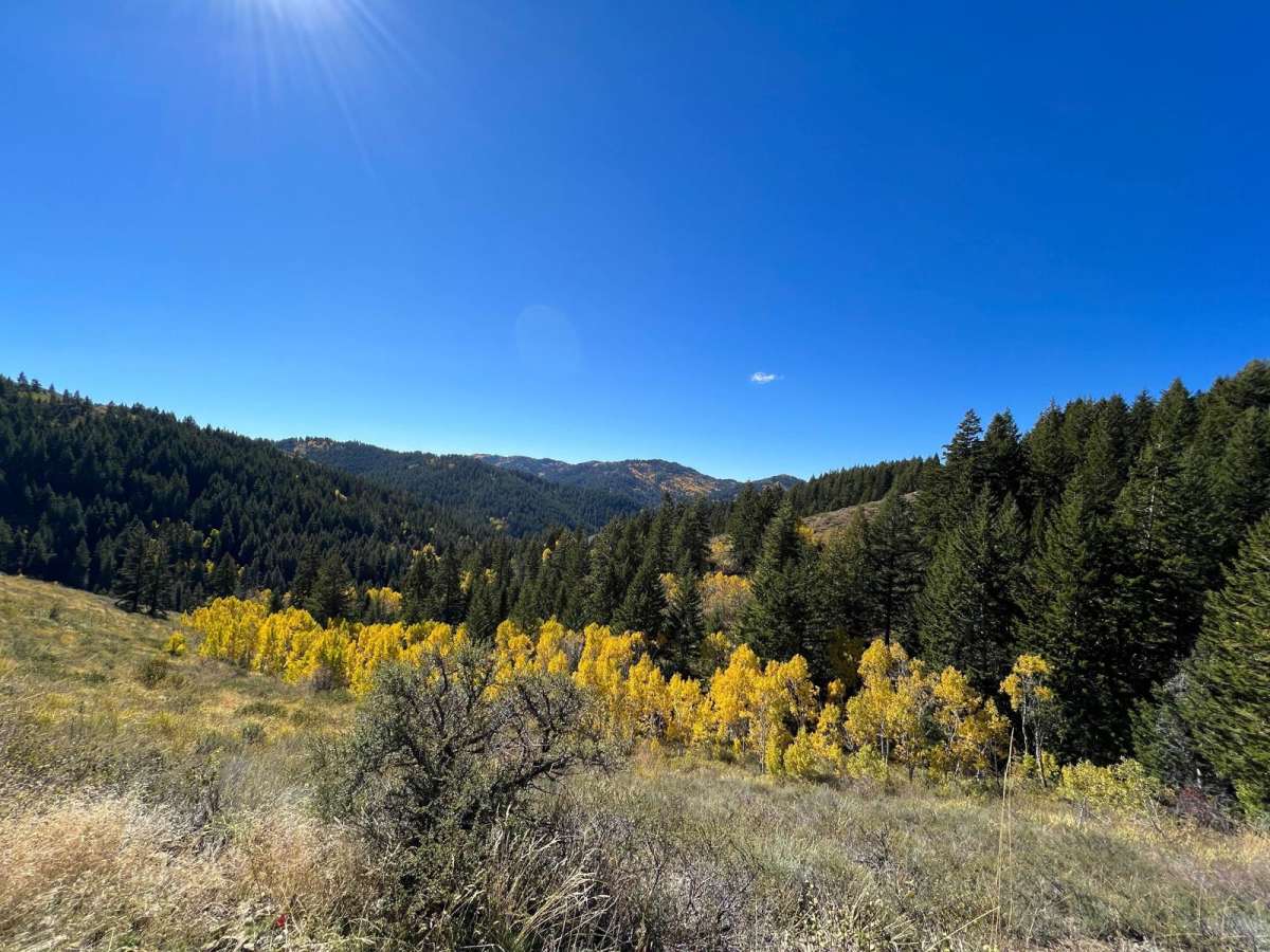 Green Canyon trail photo