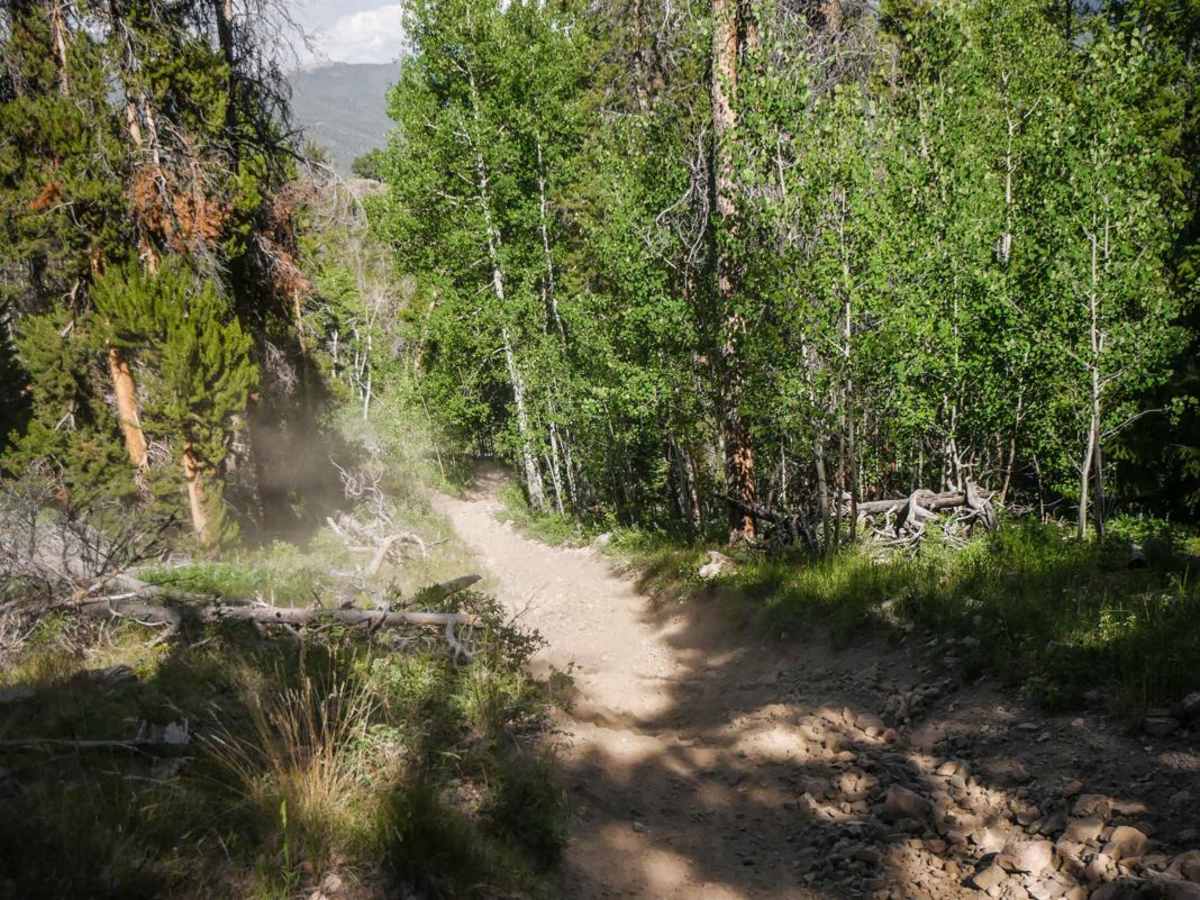 Quakey Mountain photo 5