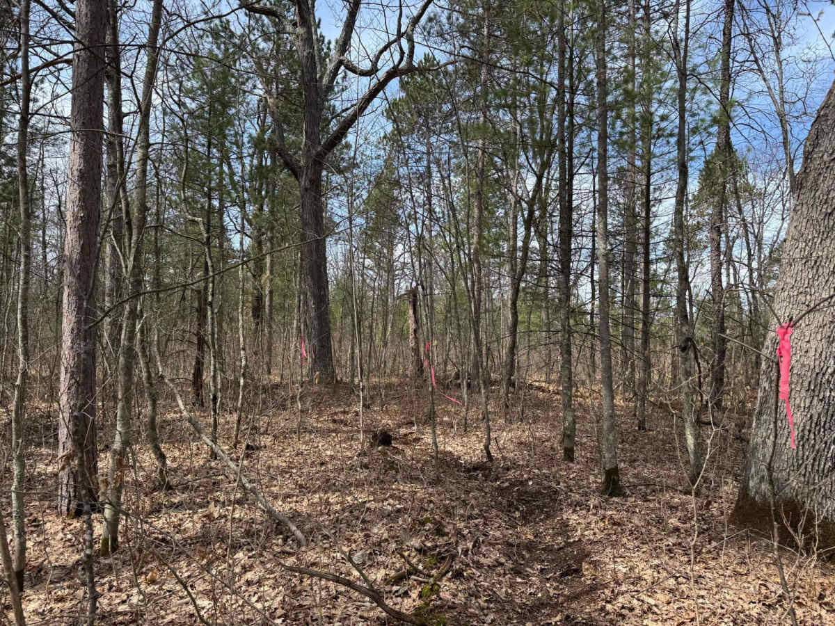 Grand Traverse West Spur photo 5