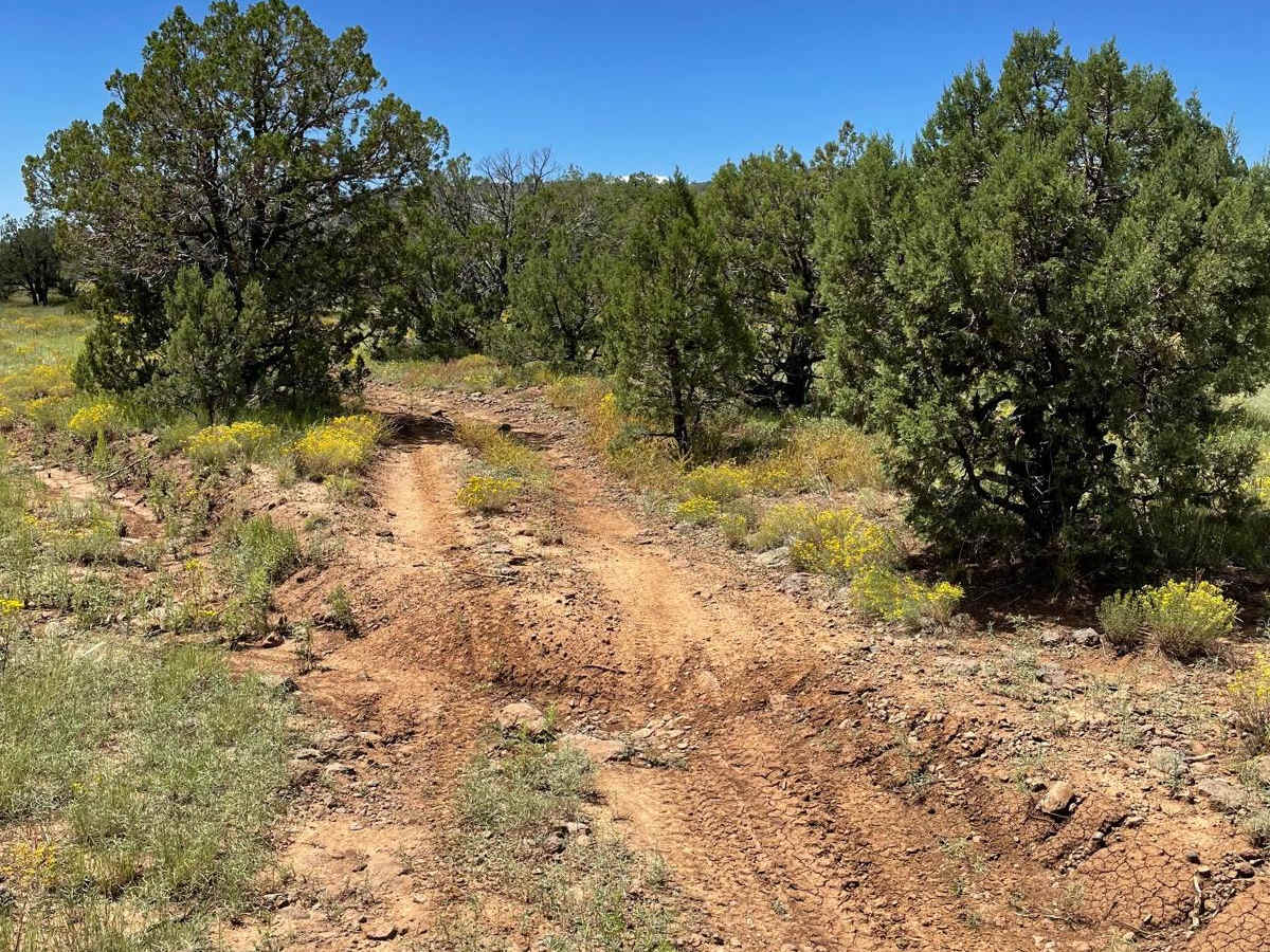 Committee Tank Trail photo 4