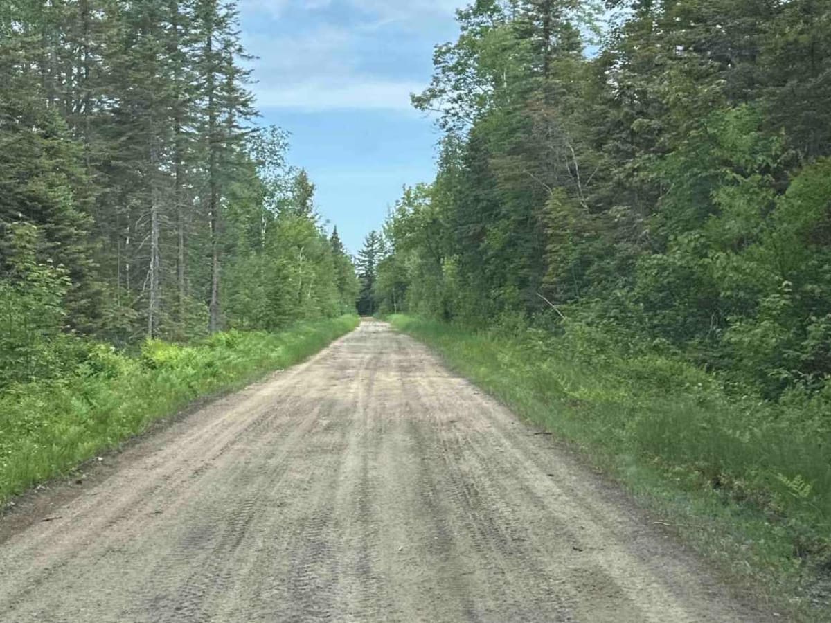 FS 3344 photo 6