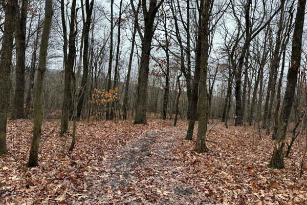 ATV Trail Pines Bypass
