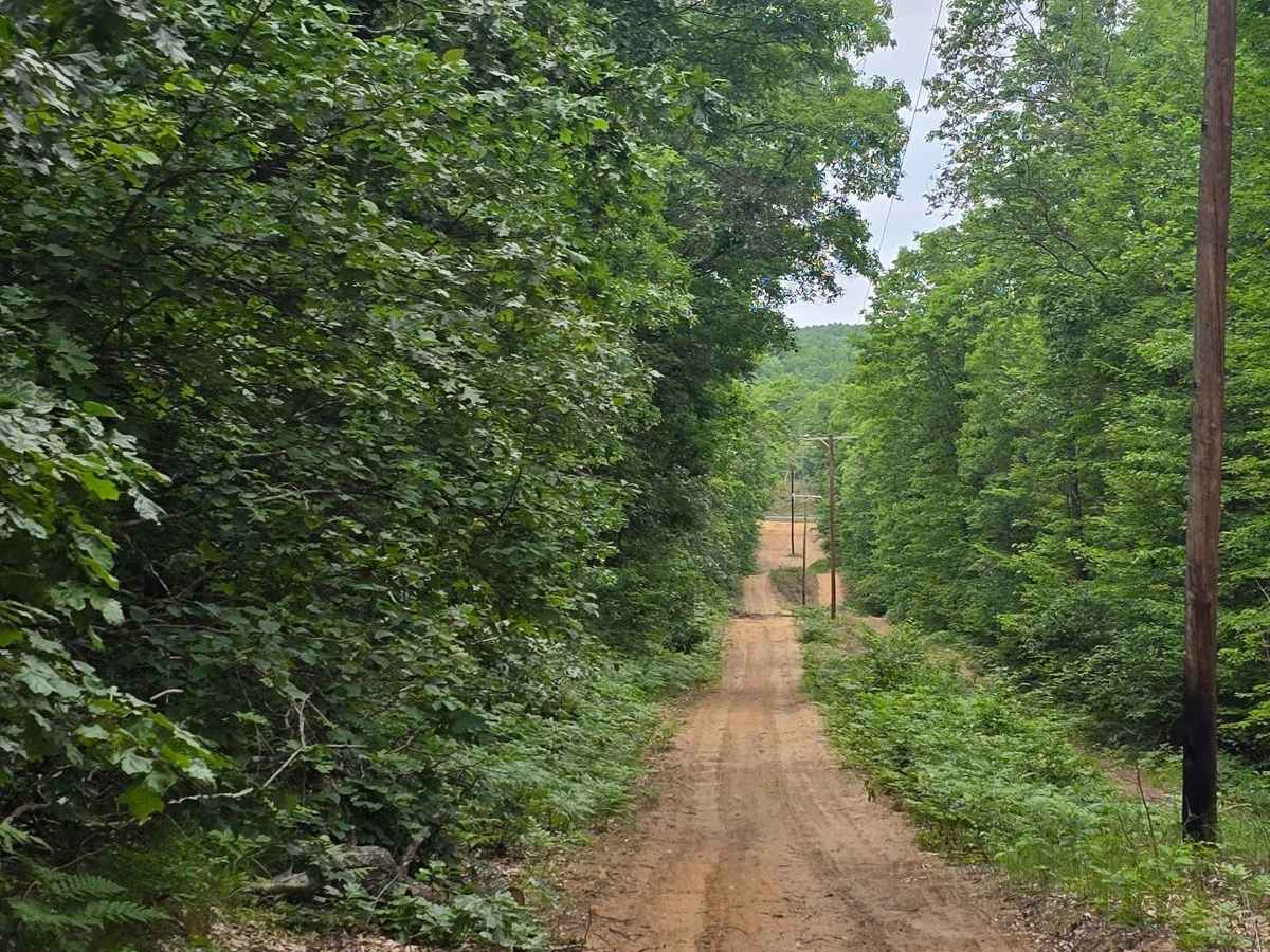 Lentz Trail photo 2