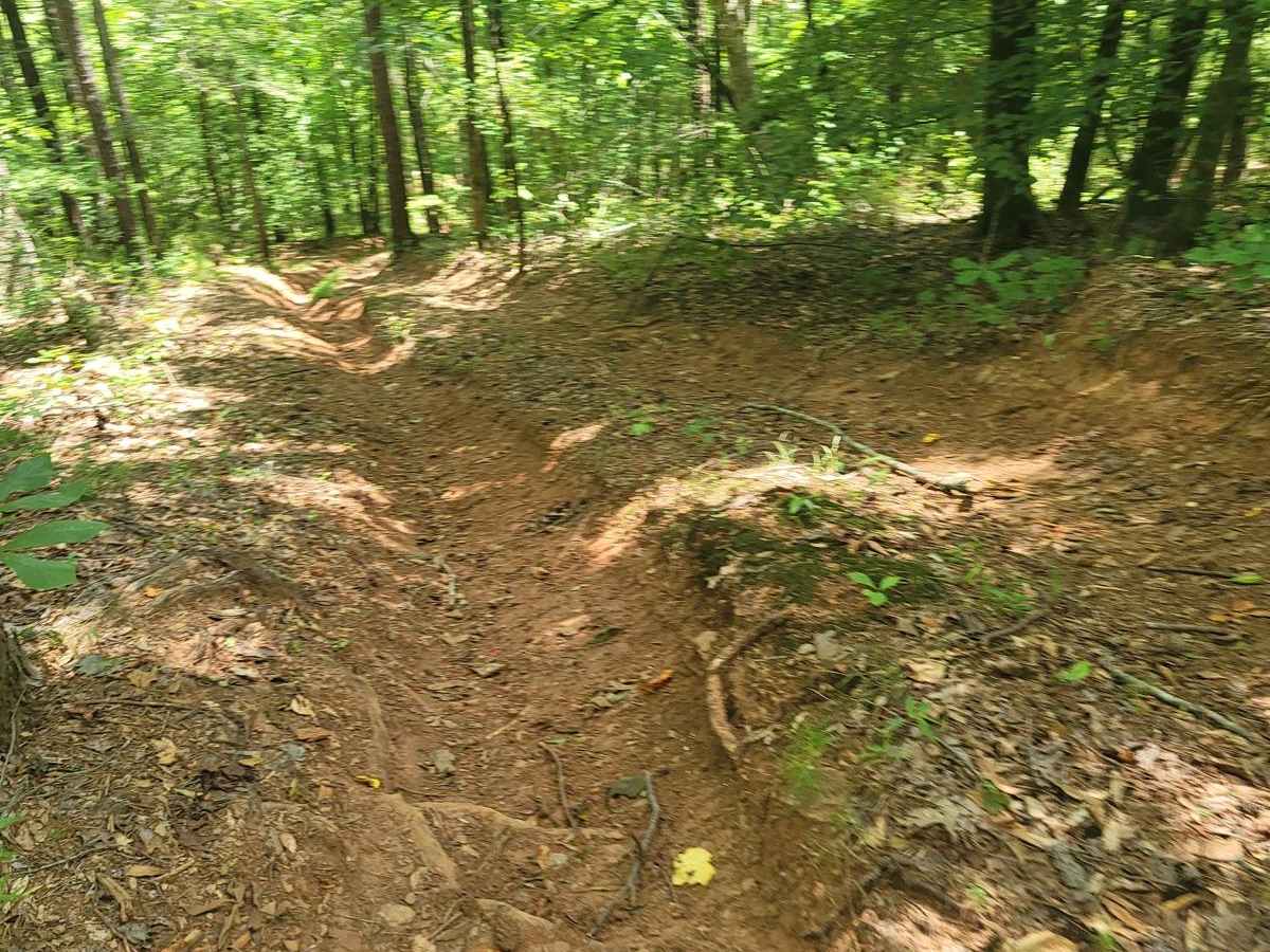 Daddy Bill Hill photo 6
