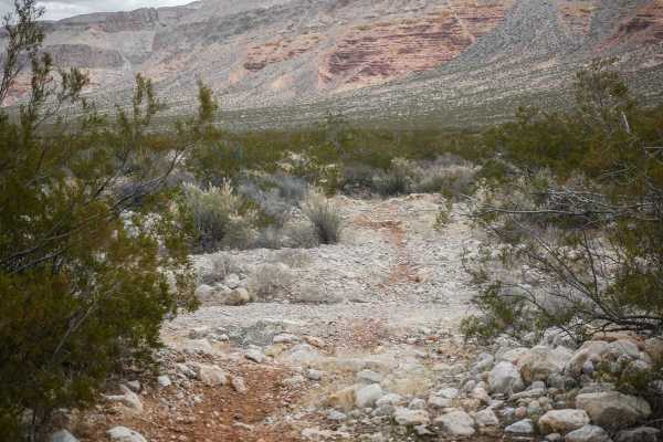 2055 Single Track