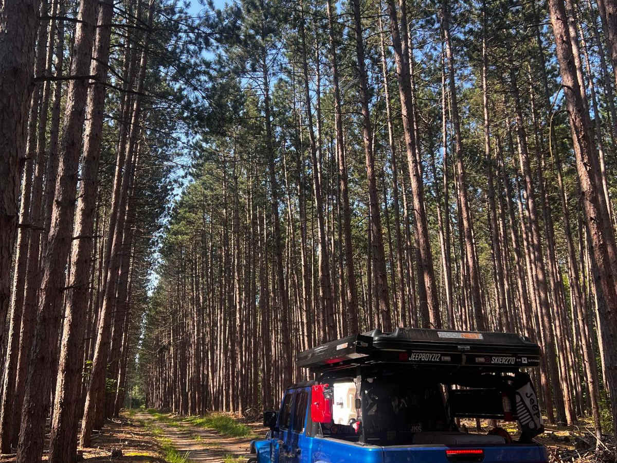 NFS 5165 trail photo