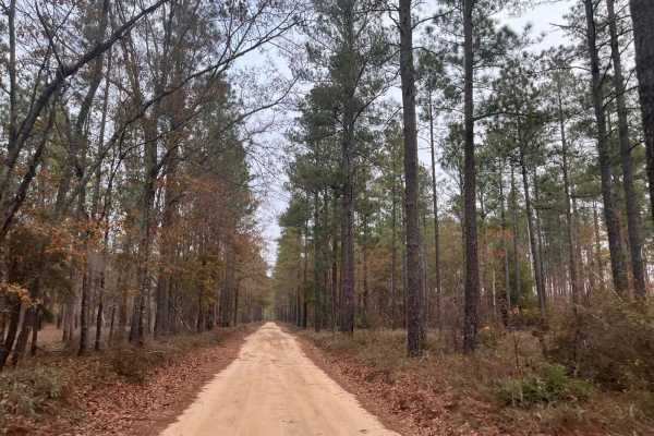 Kathwood Trail