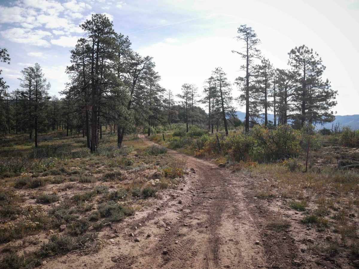 Horizon Loop photo 2