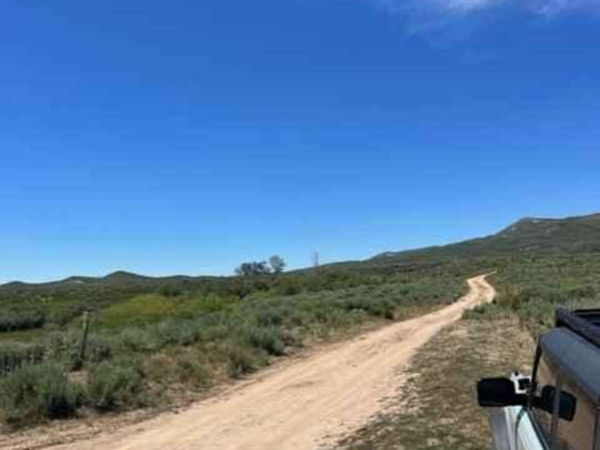 Lime Creek to Iron Mountain Lookout trail photo