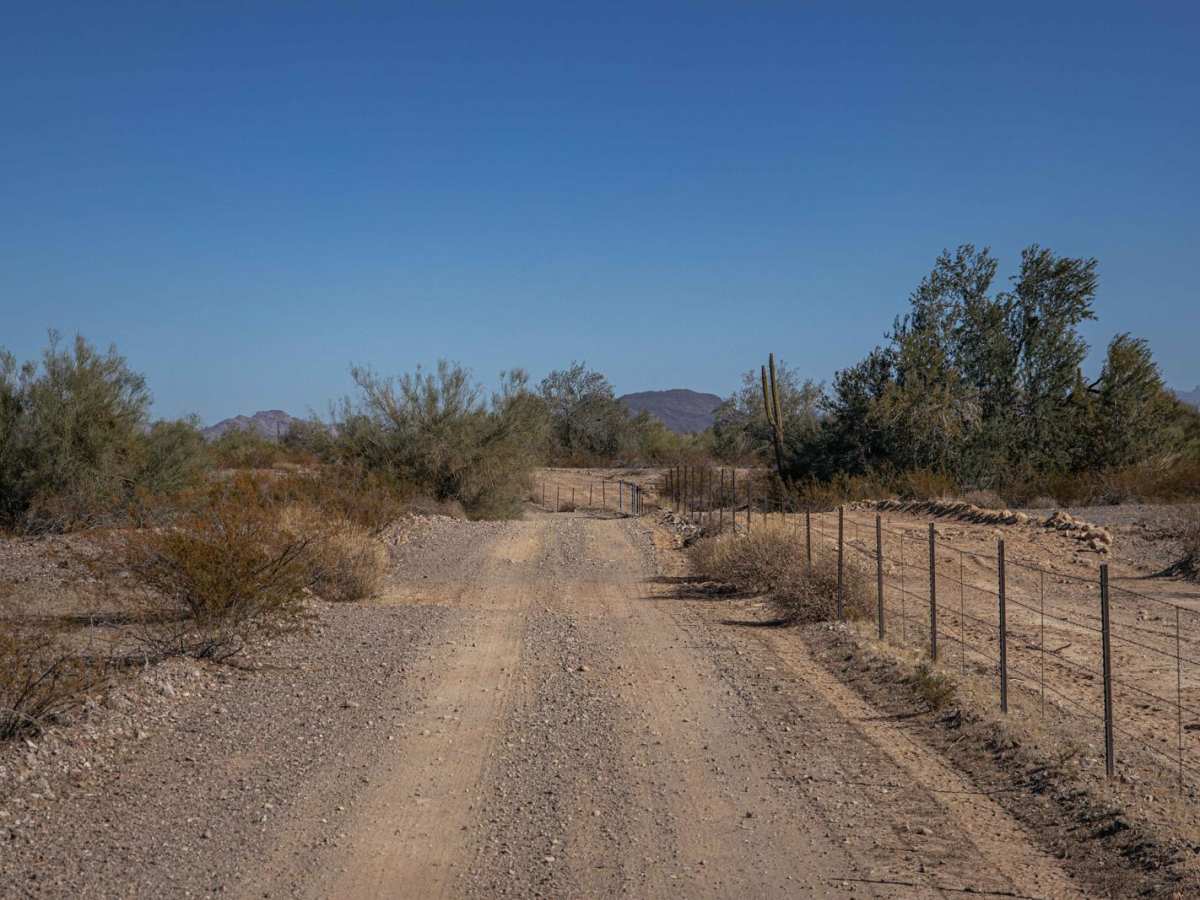24032 Trail photo 4