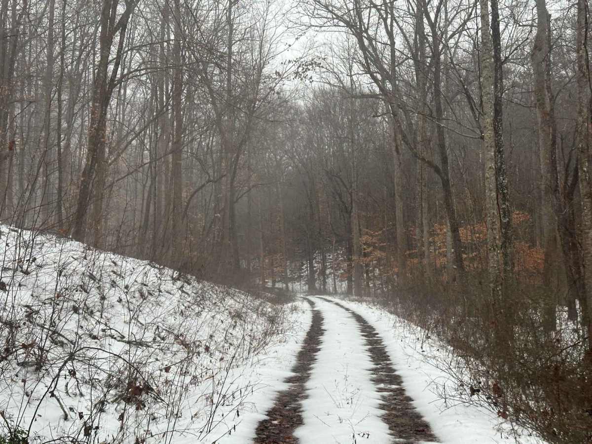 Lake Branch 3171 photo 5