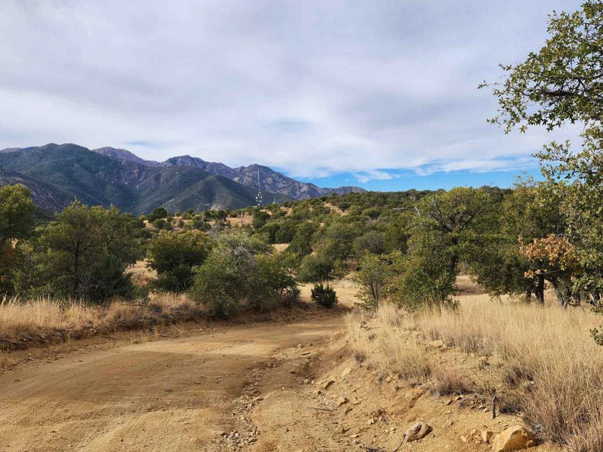 Melendrez Pass trail photo