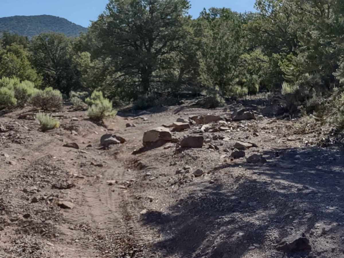 We're In A Tight Spot - BLM 5145 photo 6